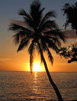 Love & Romance Travel Shop