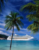 Cruise Reservations